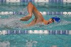 Swim vs Bentley  Wheaton College Swimming & Diving vs Bentley University. - Photo by Keith Nordstrom : Wheaton, Swimming & Diving